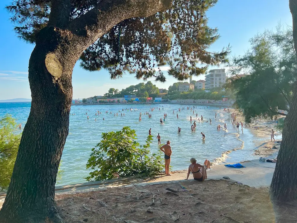 Badende in einer Bucht im Schatten der Kiefern